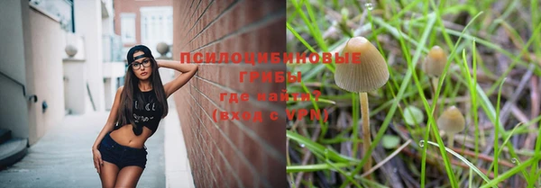 молекула духа Россошь