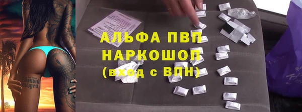 ешки Аркадак