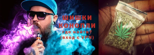 ешки Аркадак